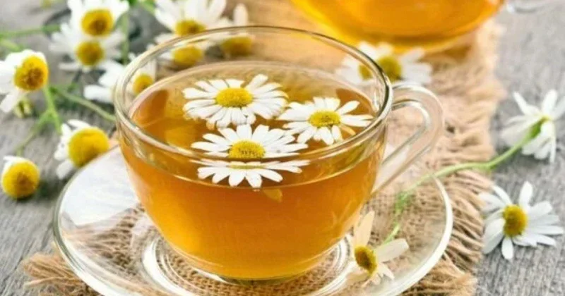 Hər gün bir fincan Çobanyastığı çayının faydaları