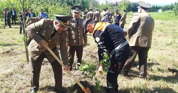 FHN silsilə ağacəkmə aksiyaları keçirdi Foto