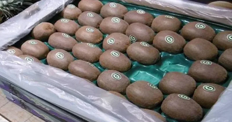 1 manat 18 qəpiyə gələn meyvə bizə 5 manata satılır