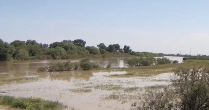 Kür çayı məcrasından çıxdı: Sabirabad sakinləri çətin vəziyyətə düşdülər