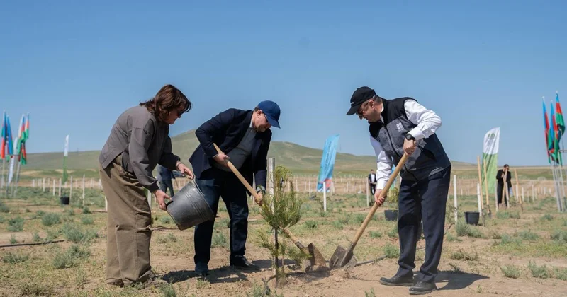Müşfiqabad qəsəbəsində ağacəkmə aksiyası keçirilib FOTOLAR