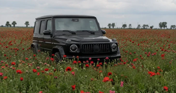 В Азербайджане наказали водителей за езду по маковым полям
