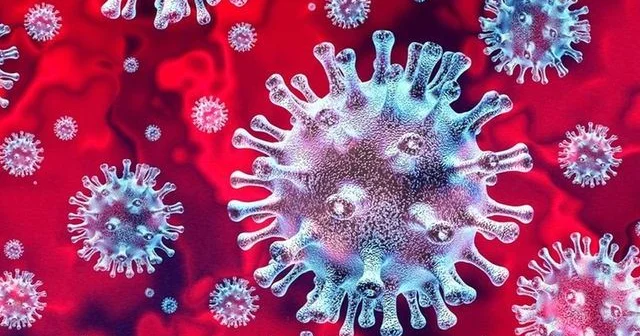 Медицинский ультразвук способен разрушать вирусы Covid 19 и гриппа