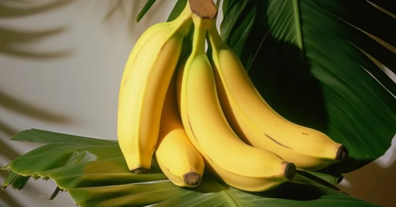 Banan yeyərkən bədəninizdə nə baş verdiyini bilirsiniz?