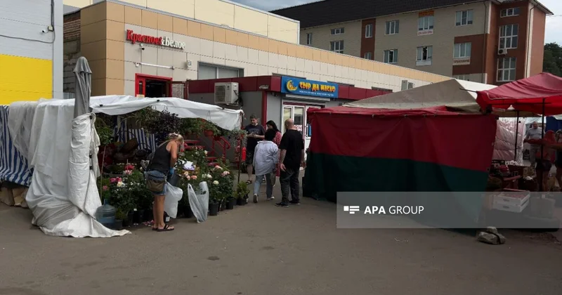 Что произошло в подмосковном рынке? ВИДЕО