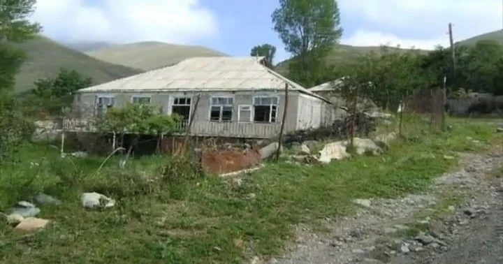 Adını bitki adından götürən kənd: Ardıcın tarixinə dair maraqlı məlumatlar