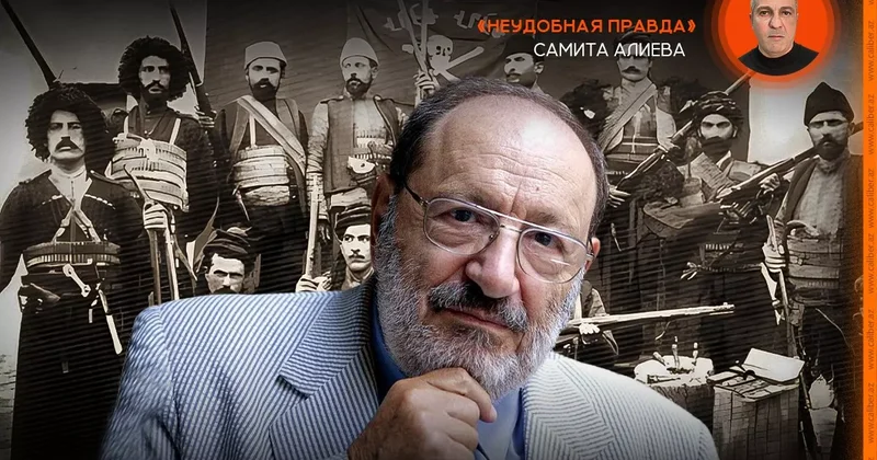 Верная нация и исчезнувшие полимеры Неудобная правда Самита Алиева