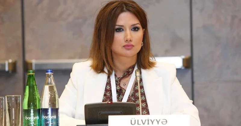 Ульвия Зульфугар: Абсурдные заявления Мединского противоречат позиции самой России