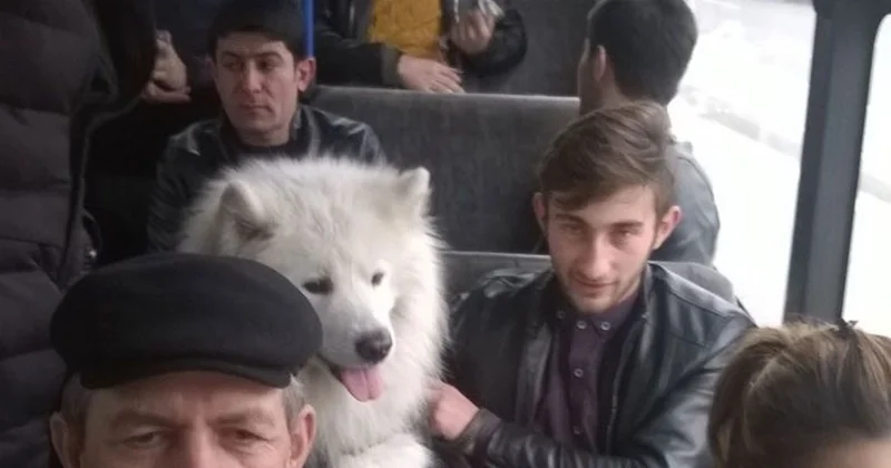 Azərbaycanda avtobusa itlə minənlər CƏRİMƏLƏNƏCƏK