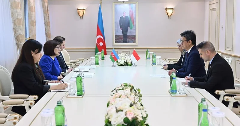 Sahibə Qafarova İndoneziyanın ölkəmizdəki səfirini qəbul edib