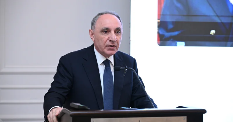 Kamran Əliyev: Yetkinlik yaşına çatmayan şəxslərlə bağlı qanunvericilikdə xüsusi humanist yanaşma tətbiq olunur