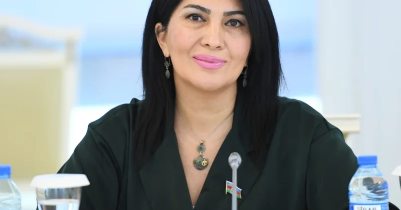 Kitabxanalar kitab saxlanılan yer deyil, oxucu yetişdirən mərkəzlərə çevrilməlidir