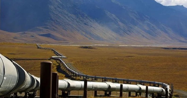 SOCAR усиливает роль оператора WREP