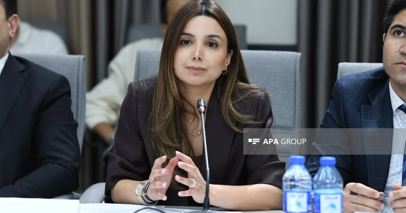 İdarə rəisi: Sosial şəbəkələrlə bağlı qanun layihəsində effektiv nəzarət mexanizmləri nəzərdə tutulur