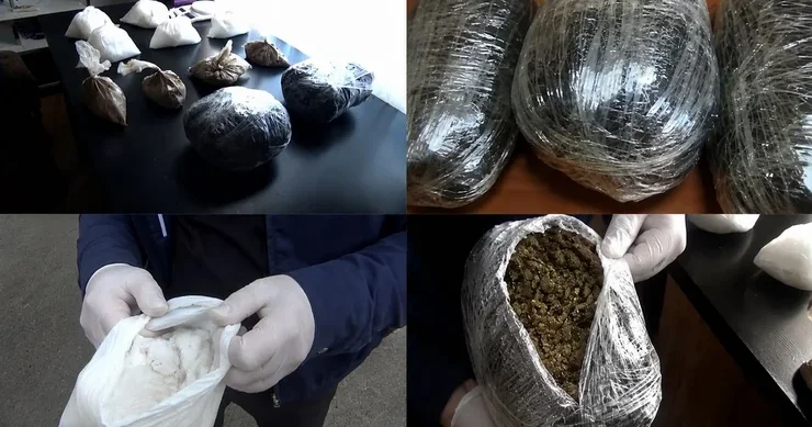 46 kiloqram narkotik vasitə dövriyyədən çıxarılıb