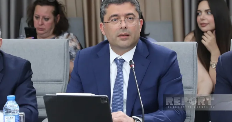 Глава MEDİA предупредил о рисках бесконтрольного использования соцсетей детьми