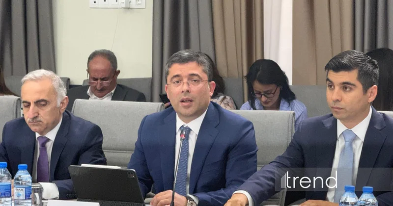 Uşaqların şəxsi məlumatları kommersiya maraqlarına çevrilə bilməz Əhməd İsmayılov