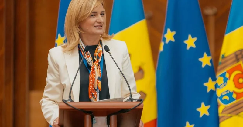 Moldova parlamentinin vitse spikeri veto hüququ olmadan Aİ yə daxil olmağın mümkünlüyünü istisna etməyib