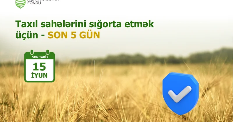 Осталось всего несколько дней