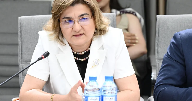Bəzi sosial şəbəkələrdə uşaqların intihara, terrorizmə, kiberbullinqə məruz qalma ehtimalı daha çoxdur