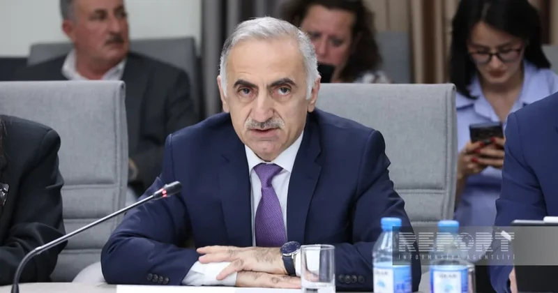 Elmir Vəlizadə: Uşaqları zərərli informasiyadan qorunmaq böyük əhəmiyyət daşıyır