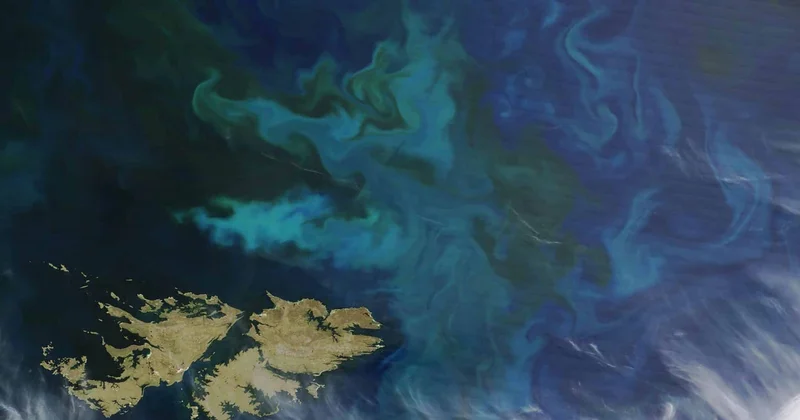 İqlim istiləşməsi planetin oksigen mənbəyini təhlükəyə atır