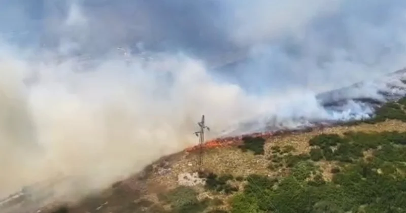 Serbiyada meşə yanğınları davam edir