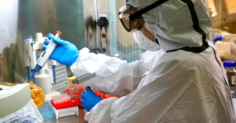 В Германии создали комиссию по расследованию пандемии COVID 19