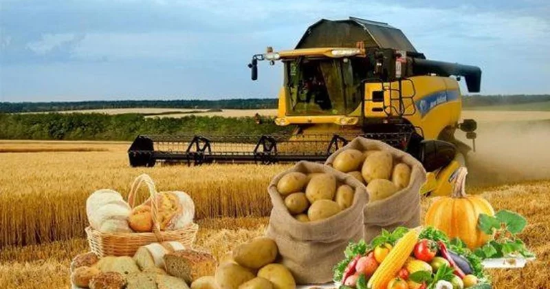 Kazakhstan strengthens food security by expanding agricultural output