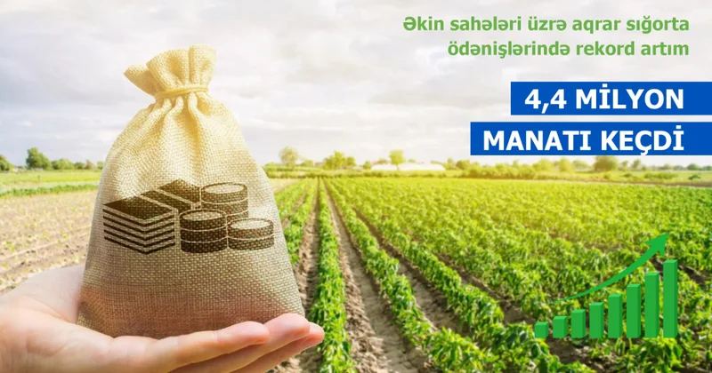 Azərbaycanda aqrar sığorta ödənişlərində rekord göstərici qeydə alınıb
