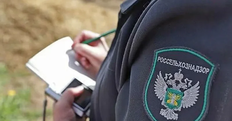 Россельхознадзор как инструмент давления Кремля: ограничен импорт азербайджанских и армянских товаров