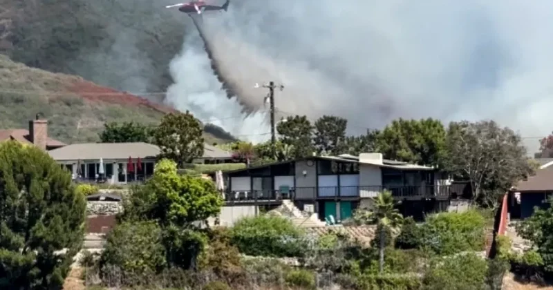 Подросток устроил крупный лесной пожар в Калифорнии ВИДЕО