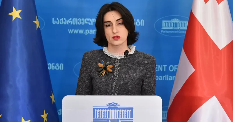 Бочорашвили раскритиковала резолюцию ЕС