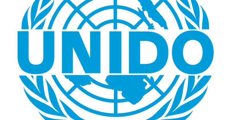 Turkmenistan and UNIDO wheel and deal ahead of LLDC3 conference