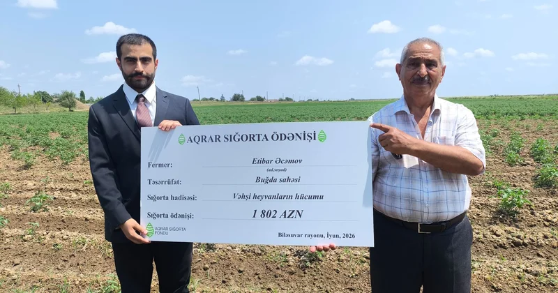 Cəlilabad və Biləsuvarda təsərrüfatlara dəymiş zərərlər üzrə sığorta ödənişləri həyata keçirilib