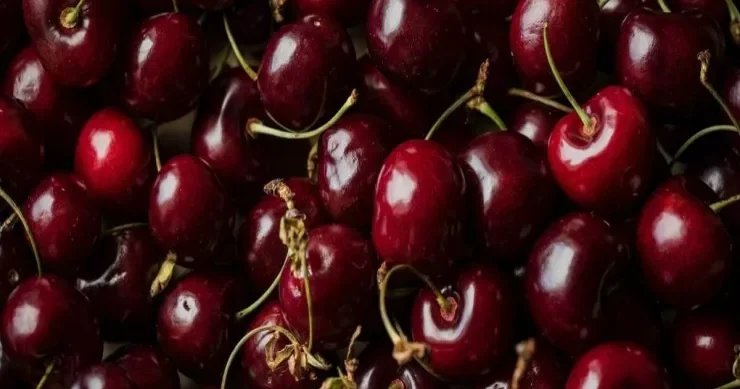 Gilası qış üçün necə dondurmaq olar? Çəyirdəkli və çəyirdəksiz üsullar
