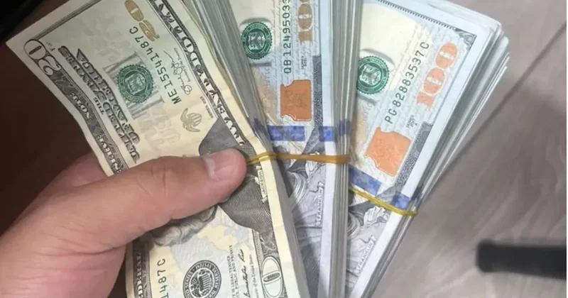 Гражданин Узбекистана пытался вывезти из Кыргызстана десятки тысяч долларов