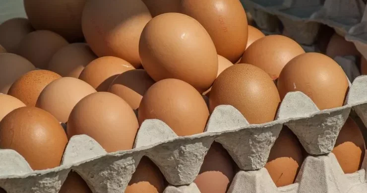Mağazalarda yumurtalar niyə soyuducuda saxlanılmır?