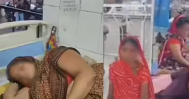 Hindistanda yuvaları su altında qalan ilanlar onlarla insanı sancdı
