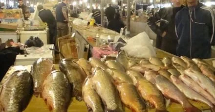 Milli Məclisdən yeni qərar: Balıq məhsulları yalnız bu şərtlərlə satılacaq