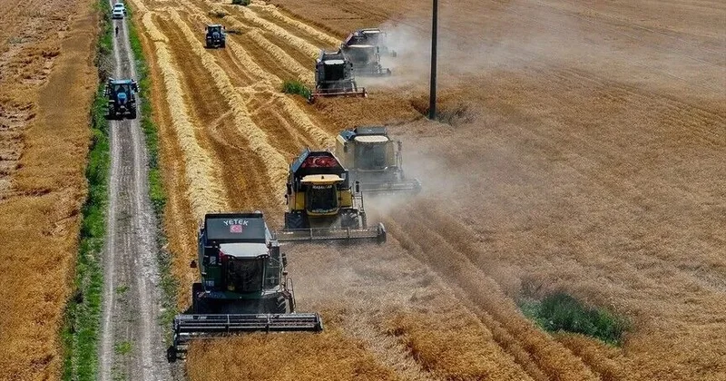 Karacabəy müəssisələri bölgənin yerli buğda toxumu ehtiyacını ödəyir