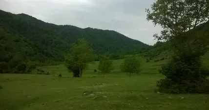 Özəl torpaqlar birləşdiriləcək? Deputat AÇIQLADI