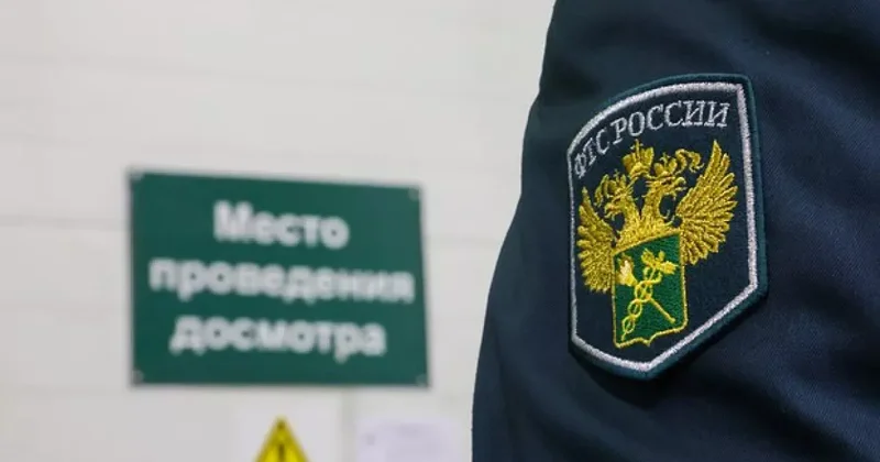 В аэропорту Махачкалы пассажир попытался вывезти чемоданы с 177 млн рублей