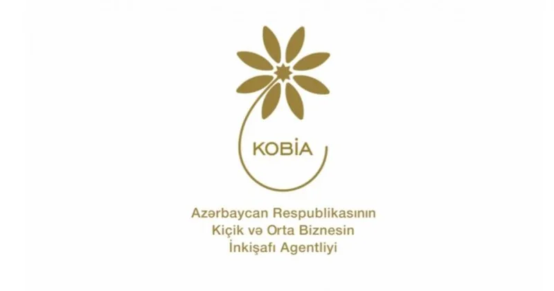 Startap şəhadətnaməsi almış KOB ların ümumi dövriyyəsi 2 dəfə artıb