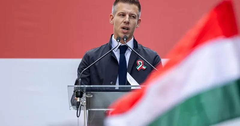 Мадьяр показал Magnum, который ему подарил Эрдоган на саммите НАТО