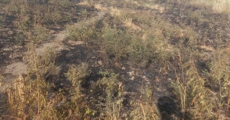 Ağsuda məişət tullantıları yandıran şəxs yanğına səbəb olub