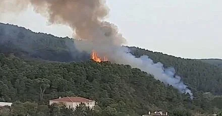İranla sərhəddə yanğın başladı