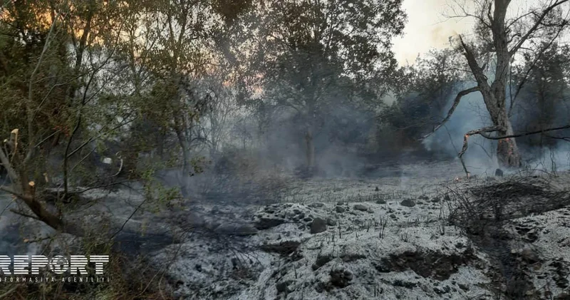 Ağdərədə meşə yanğınları davam edir