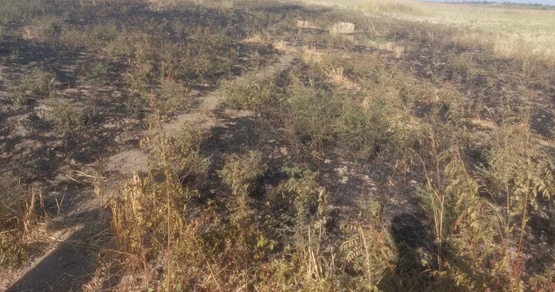 Ağsuda qadın ehtiyatsız davranaraq yanğın törətdi