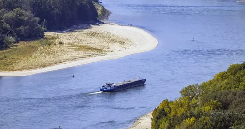 Bloomberg: Украине все сложнее экспортировать зерно из за низкого уровня воды в Дунае